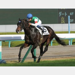 前走は②着に1馬身3/4差をつけた