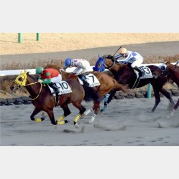 初コンビの内田で一千万勝ち