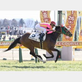 デビュー戦を快勝