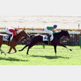 千八で未勝利V