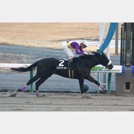 一千万特別も逃げ切った