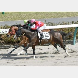 昨年4月にこの舞台で現級勝ち