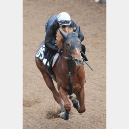 中間は坂路でハツラツとした動き