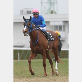 岩田康と好相性