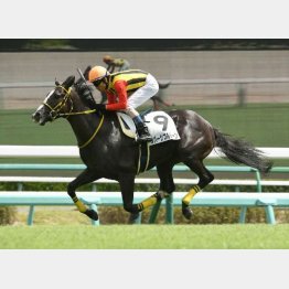 新馬を快勝