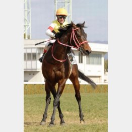 年明けにデビュー勝ち