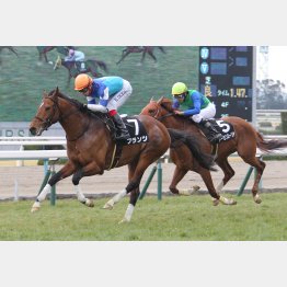前走は②着に1馬身1/4差をつけた