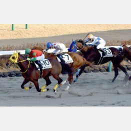 前走掛かり気味でも③着に粘ったパレスハングリー◎