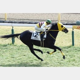 好内容の前走勝ち