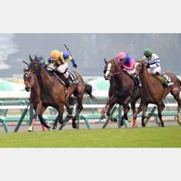 2走前が有馬記念と同舞台で好記録