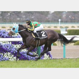 前走は逃げて②着以下を完封