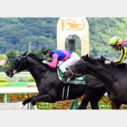 ラジオNIKKEI賞を快勝