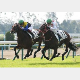 新馬の内容が秀逸