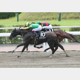 昨夏の小倉で一千万勝ち