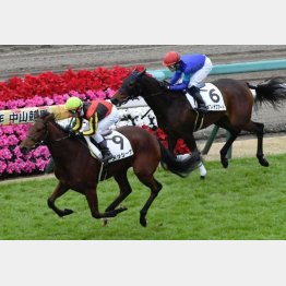中山千八の未勝利を差し切り