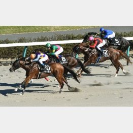 昇級初戦のながつきSで③着