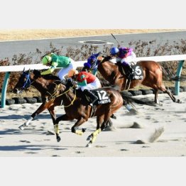 一昨年の香取特別で②着