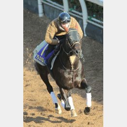 軽快な動きを見せたアレスバローズが頂点獲りだ