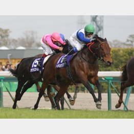 父ロードカナロは6FGⅠで5勝