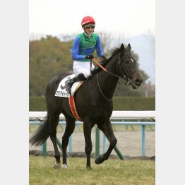 昇級戦でも不動の本命