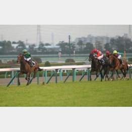 2走前は完勝
