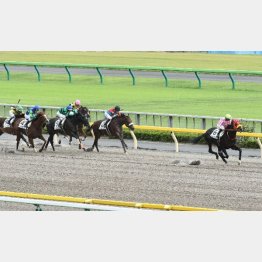 3走前は強い勝ち方をしているアーバンイェーガー