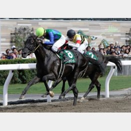 エルムSで人馬ともに重賞初V