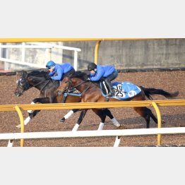 1Fは11秒6で半馬身先着