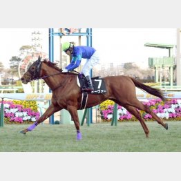 ニューイヤーSを完勝