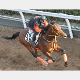 中間の動きは文句なし