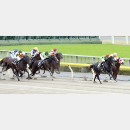 3走前の霜月Sを差し切り勝ち
