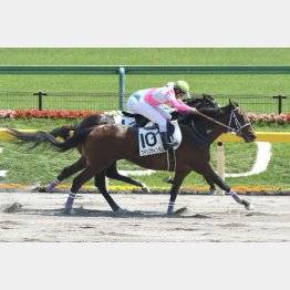 休養前に東京で現級勝ち