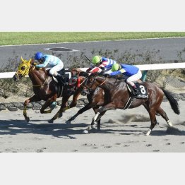 鋸山特別でタイム差なし③着