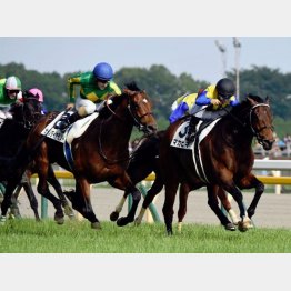 16年ダービー以来のGⅠ勝ちを