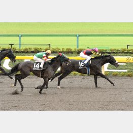 小金井特別で一千万勝ち
