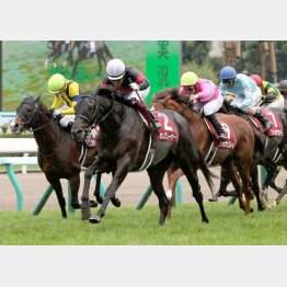 札幌記念を快勝