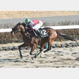 黒竹賞も大楽勝