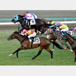 2走前は中山で勝利