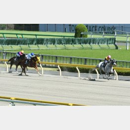 2走前の東京戦が強かったマジカルスペル