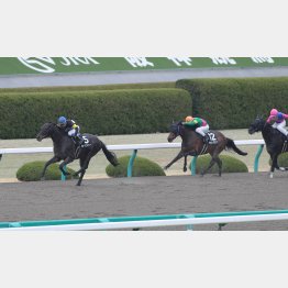 前走②着より斤量も軽くなる