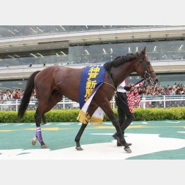 約半年の休養が“吉”と出るか