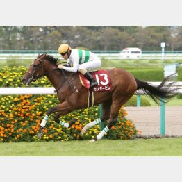 ローズSを快勝