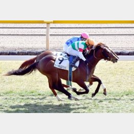 上がり最速の32秒9で五百万V