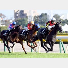 アイビーSでは強敵相手に善戦
