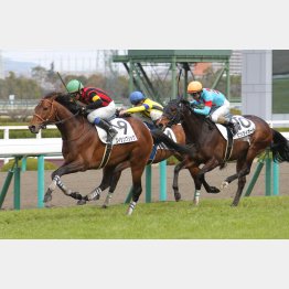 前走は②着に1馬身3/4差をつけた