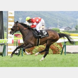 今回は昨夏のいわき特別勝ち以来の出走だが……