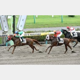 昨年9月の同舞台では逃げ粘って③着