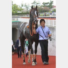 知多特別が1分19秒9の好タイム勝ち