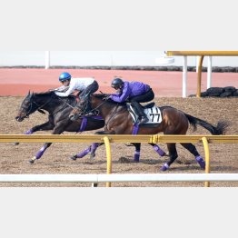 1週前は福永が騎乗