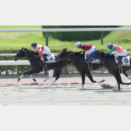 前走は2番手から押し切り